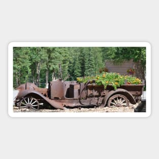 Chena Hot Spring Antique Car Sticker